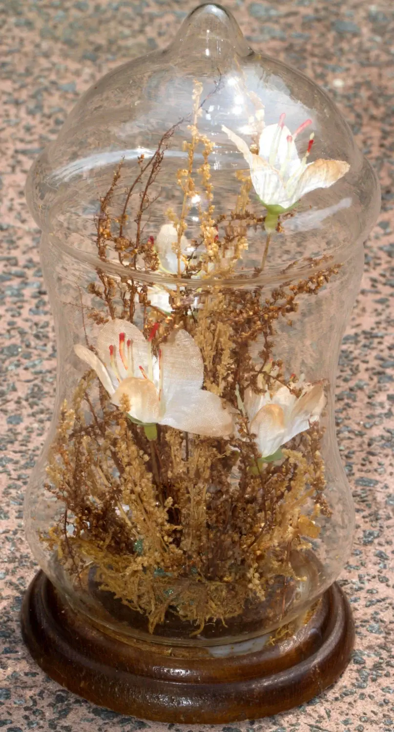 Миниатюра: Preloved Flower display in glass terrarium