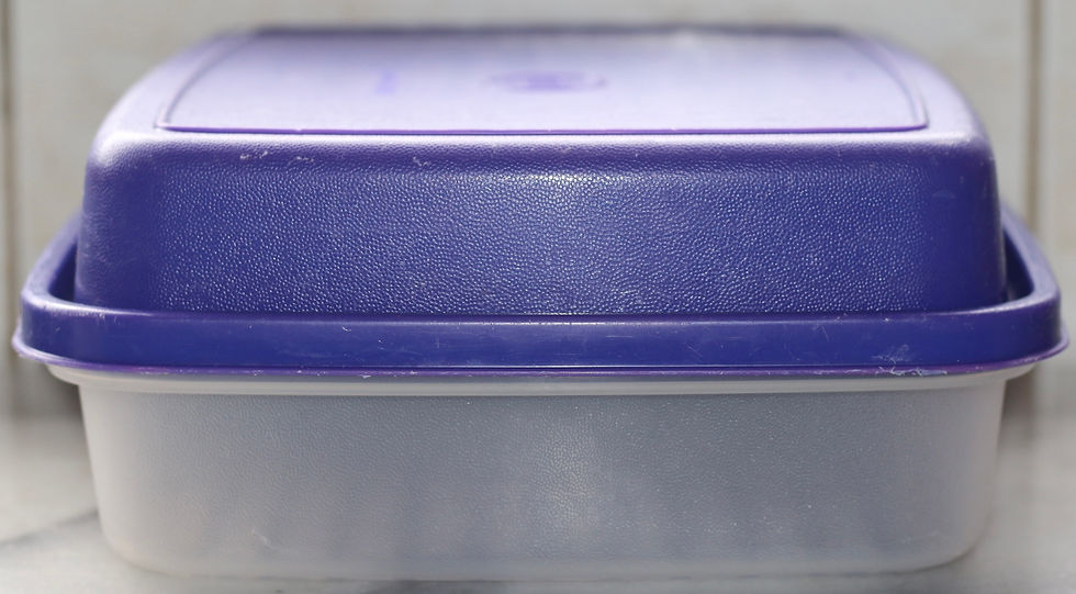 Miniatura: Preloved  Small Tupperware Season Server meat marinade container