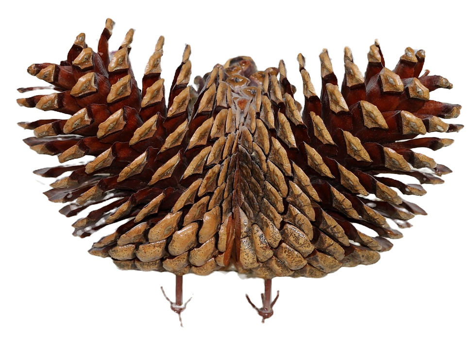 Miniaturbild: Preloved Pine Cone Vulture, Kitsch Vulture