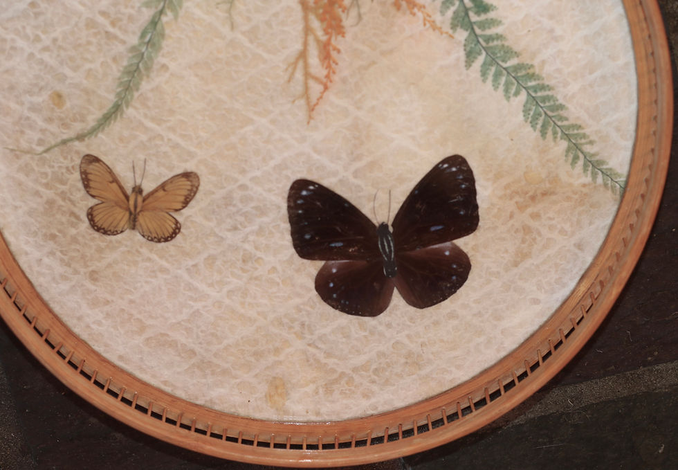 Миниатюра: Preloved Vintage Wicker Butterfly Tray