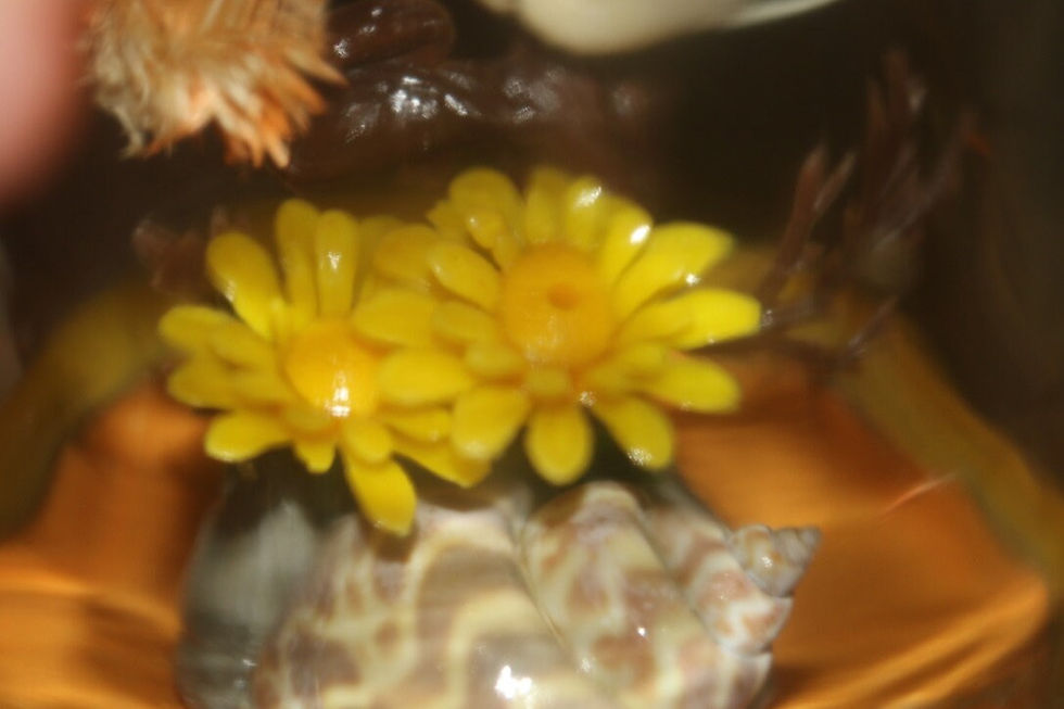 Miniatura: Preloved Kitsch Ornament, Kitsch Terrarium, Shell Birds In A Bottle