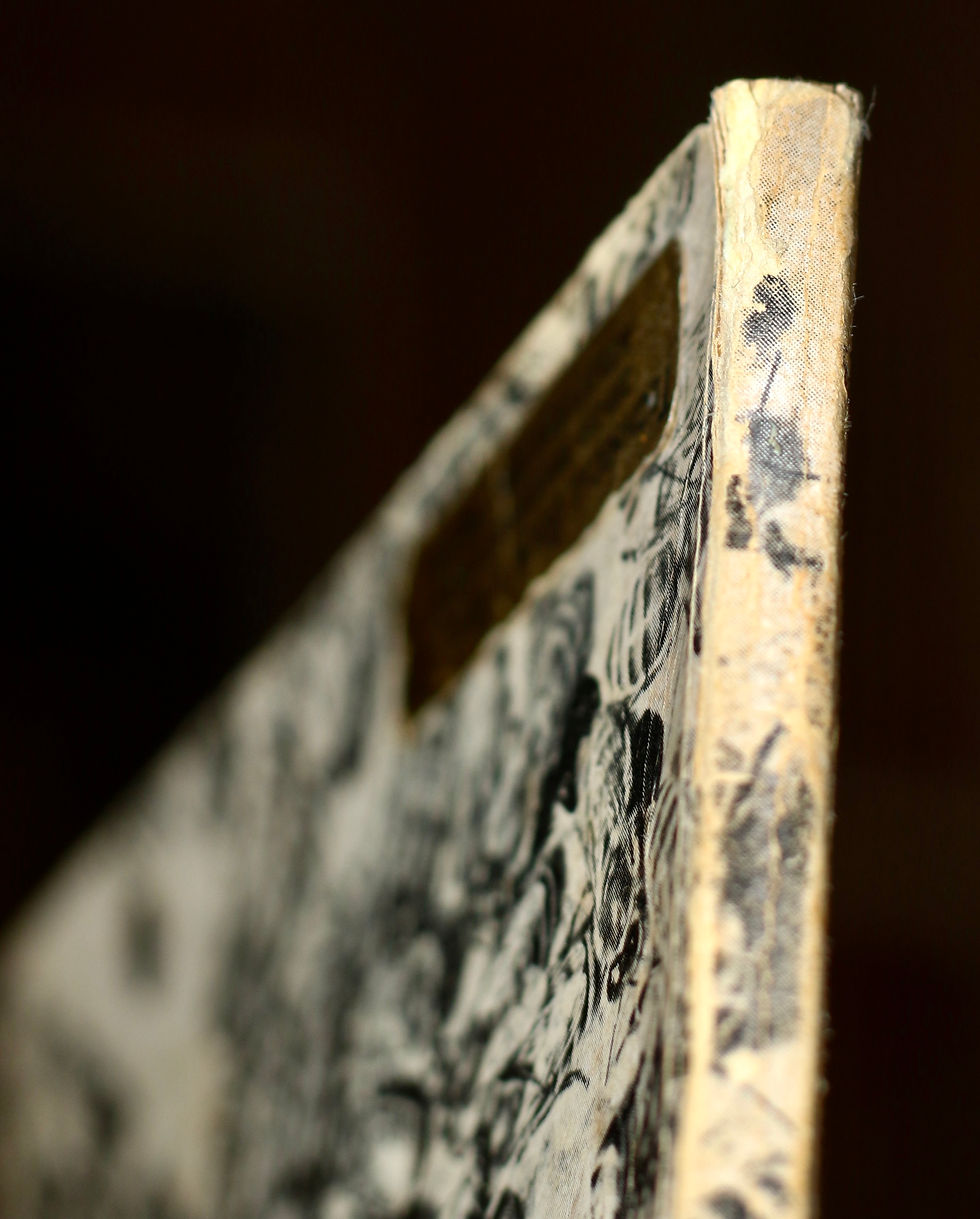 Thumbnail: Preloved Vintage Starting Right with Bees, a handbook for beginner beekeepers