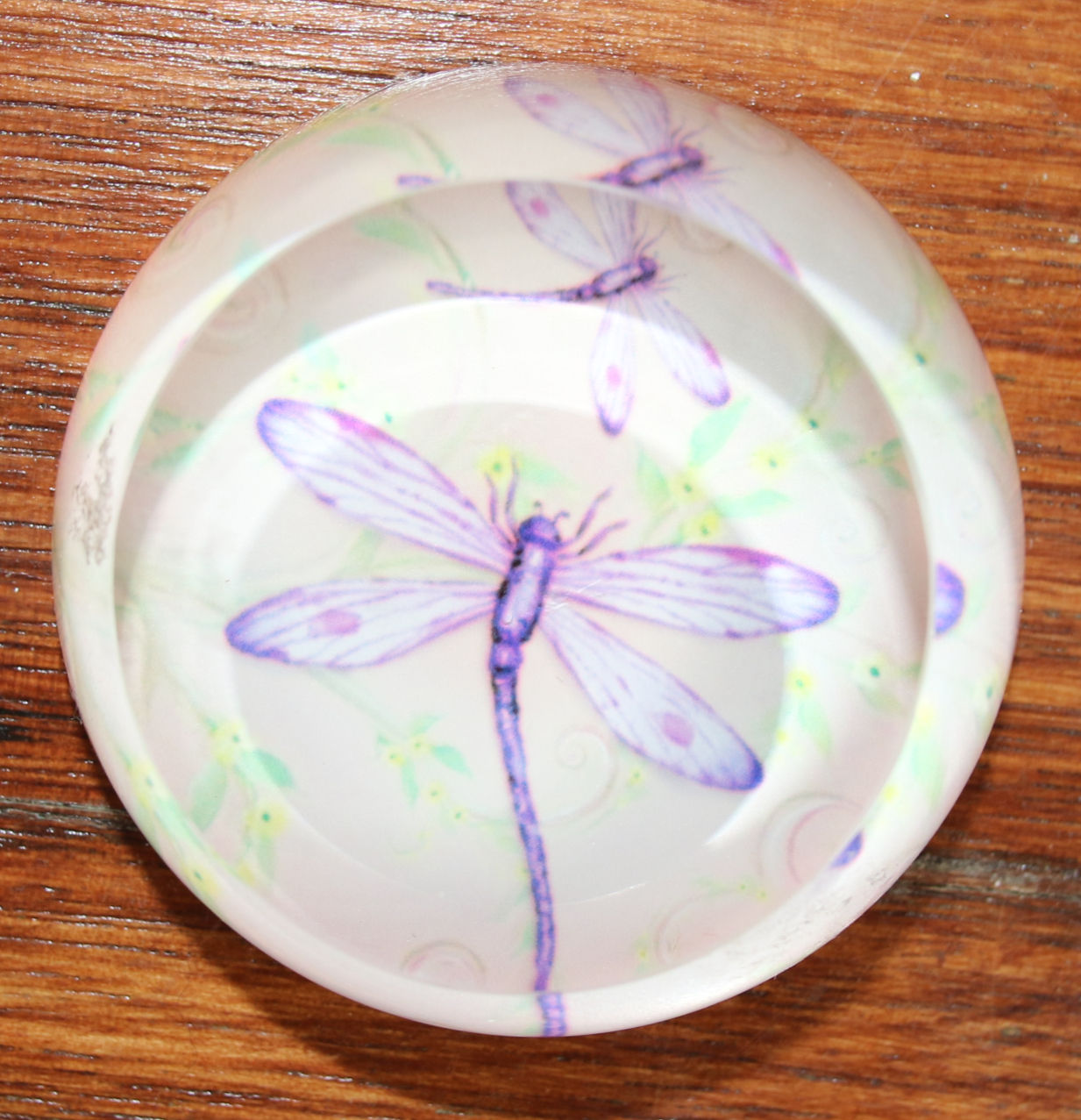 Preloved Dragonfly Glass Paperweight