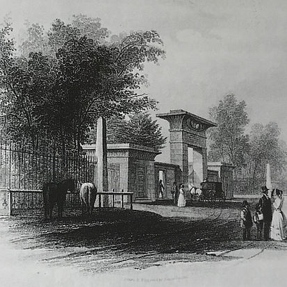 WhatsApp Image 2026-02-05 at 16.08.20 (1).jpeg