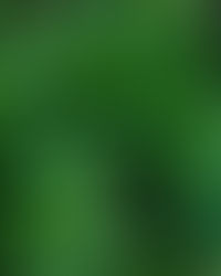 Sous Chef, Norwich, Up to £39'000 OTE