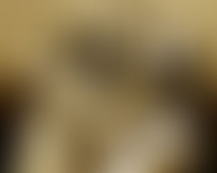 El Hip hop es un movimiento artístico y cultural compuesto por un amplio conglomerado de formas artí