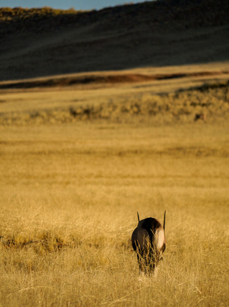 P1016679-1.jpg