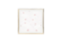 WHITE AND PINK ORCHID PAINTING