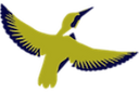 halcyon bird