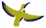 Halcyon Bird (jack)(1).png