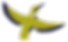 Halcyon Bird (jack)(1).png