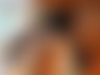 織ワークショップ