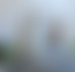 フェイスブック⑤