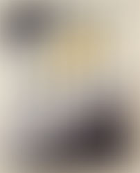 フェイスブック⑨