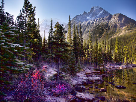 Nurture of Nature - Mount Edith Cavell