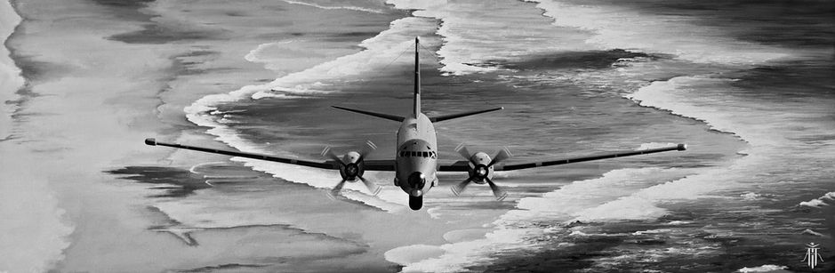 Toile aéronautique monochrome hyperréaliste d'un avion Airbus ATL2 de l'Armée de l'Air et de l'Espace
