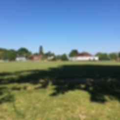 IMG_4571.jpeg