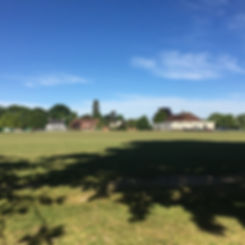 Distal Bodies 18-05-20 1.jpeg