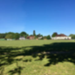 IMG_4550.jpeg