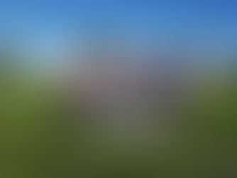 Midland va con todo ante Italiano