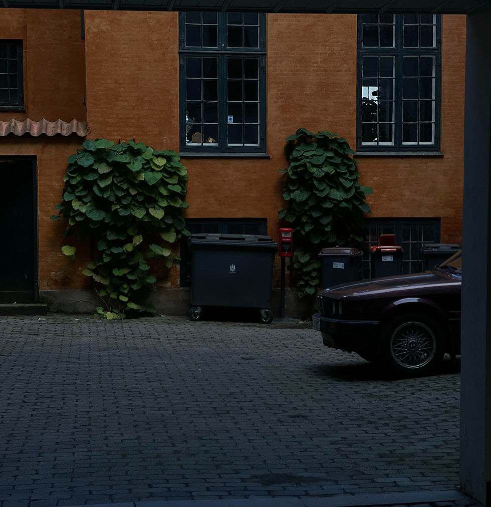 Sara Balsig Portfolio Street Style photography in Copenhagen