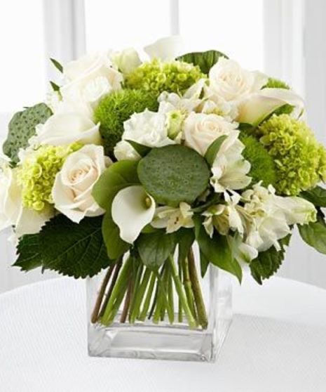 Thumbnail: Ivory Whisper