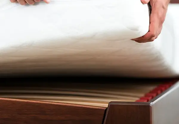 detectar-chinches-de-cama (1).webp