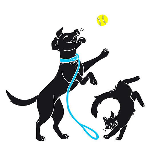 Paw-Pros logo, cat and dog