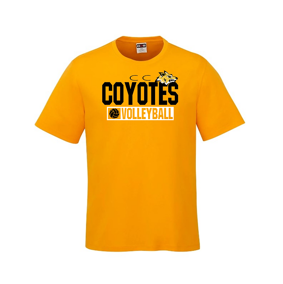 CC - Performance Short Sleeve Tee (Group)