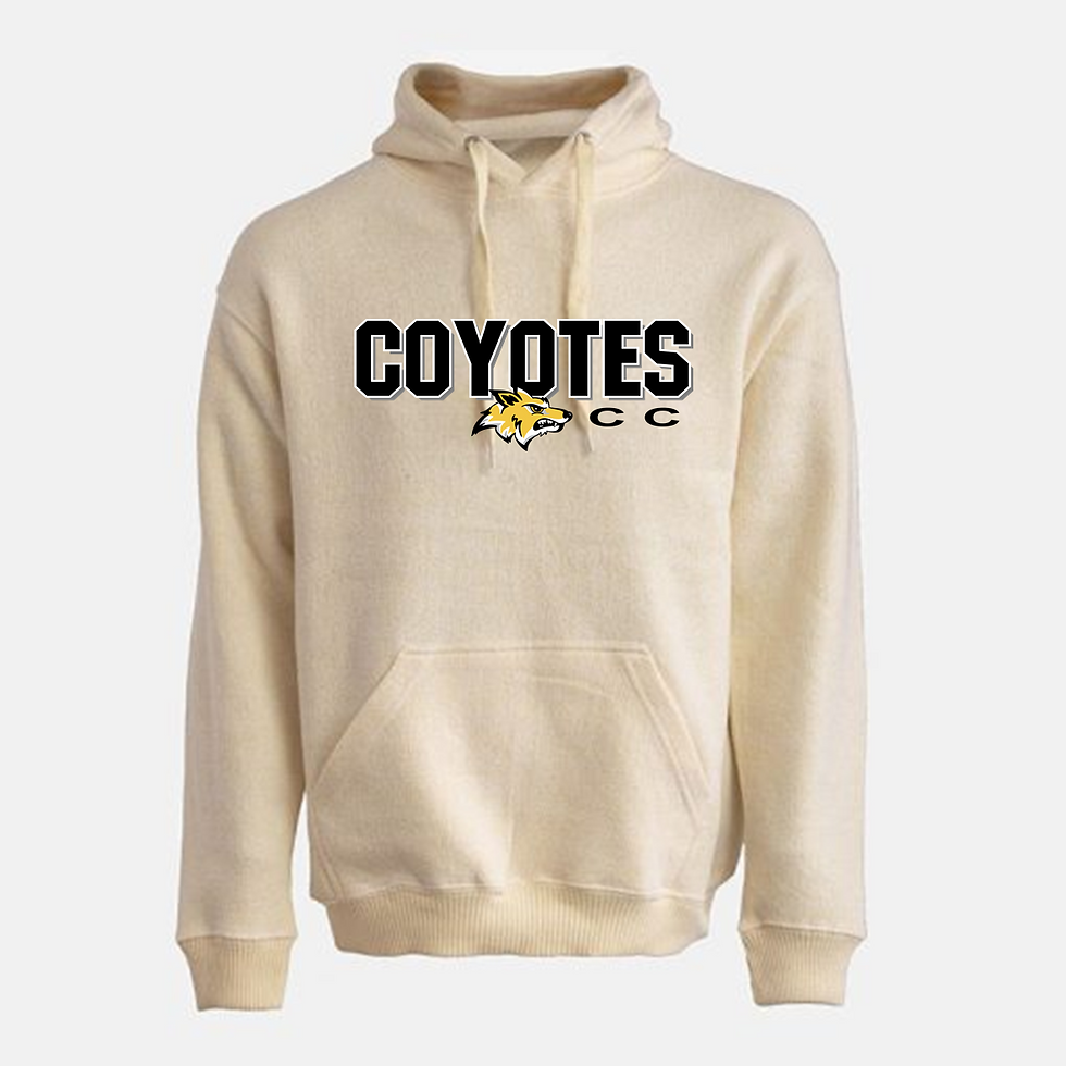 CC - Hoodie (Heathered)