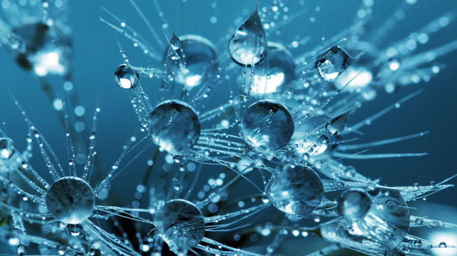 Wassertropfen_InspiredImages-750x420.jpg
