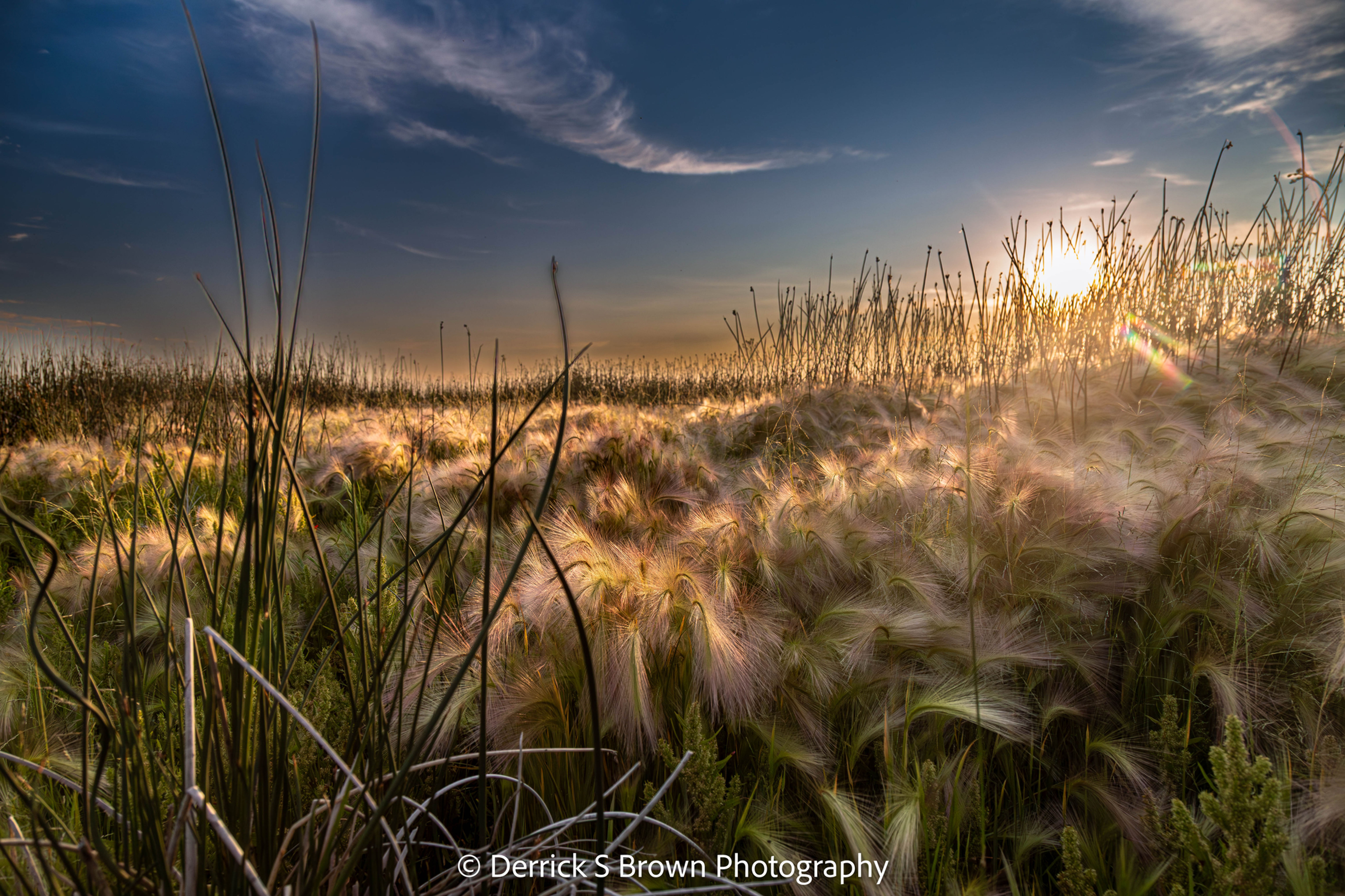 Limited Edition - Slack Slough Sunset