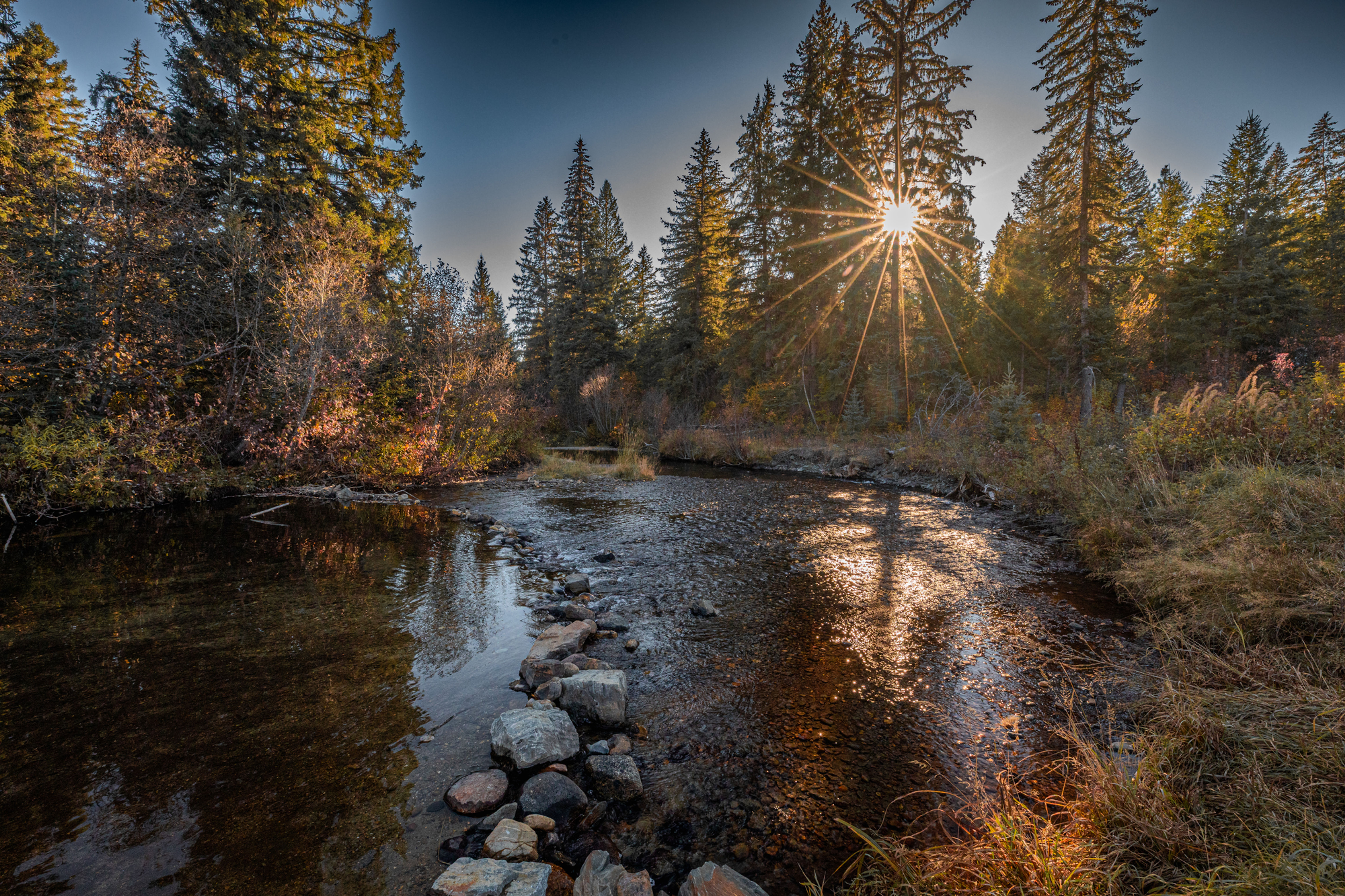 Limited Edition  - Cherry Creek