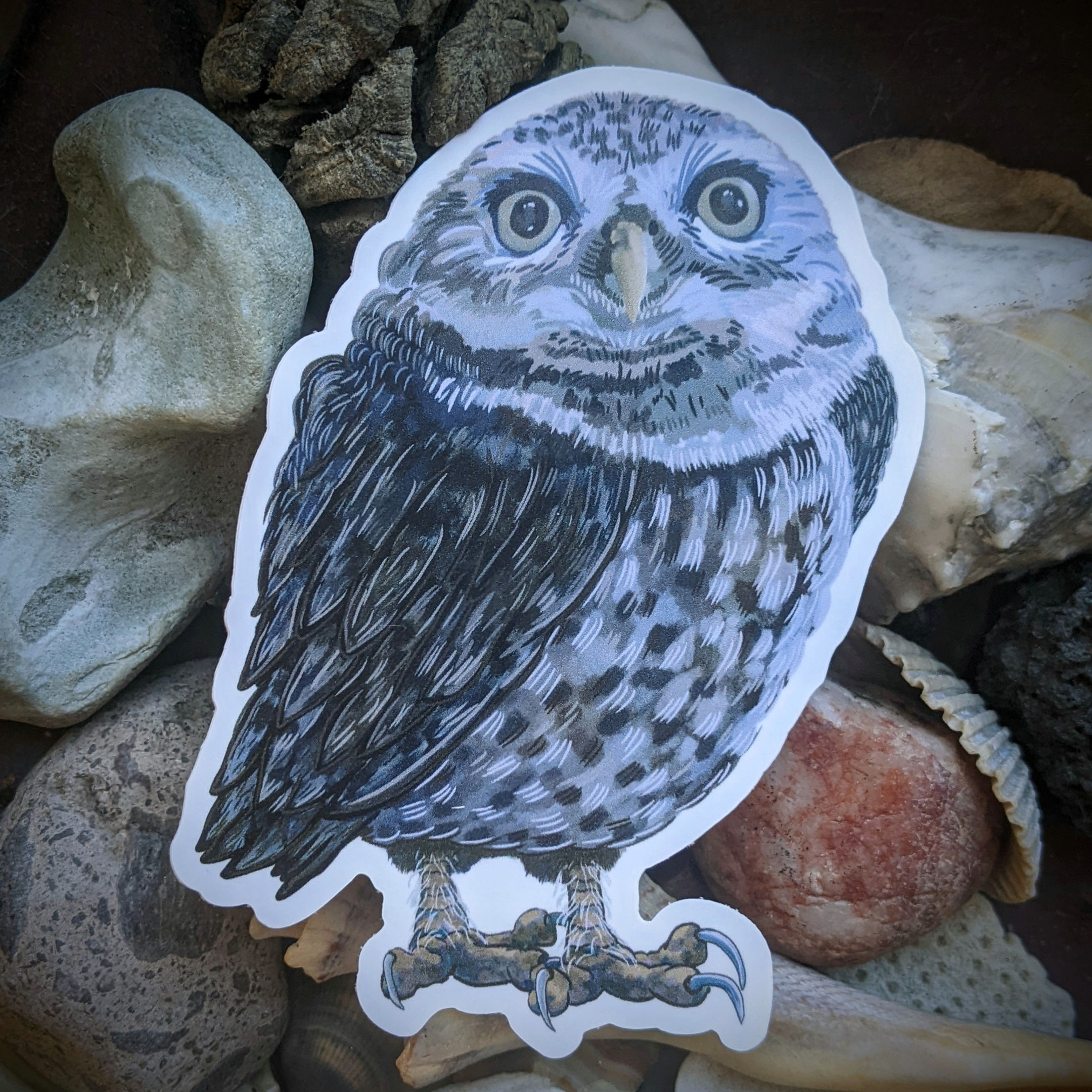 Burrowing Owl Sticker