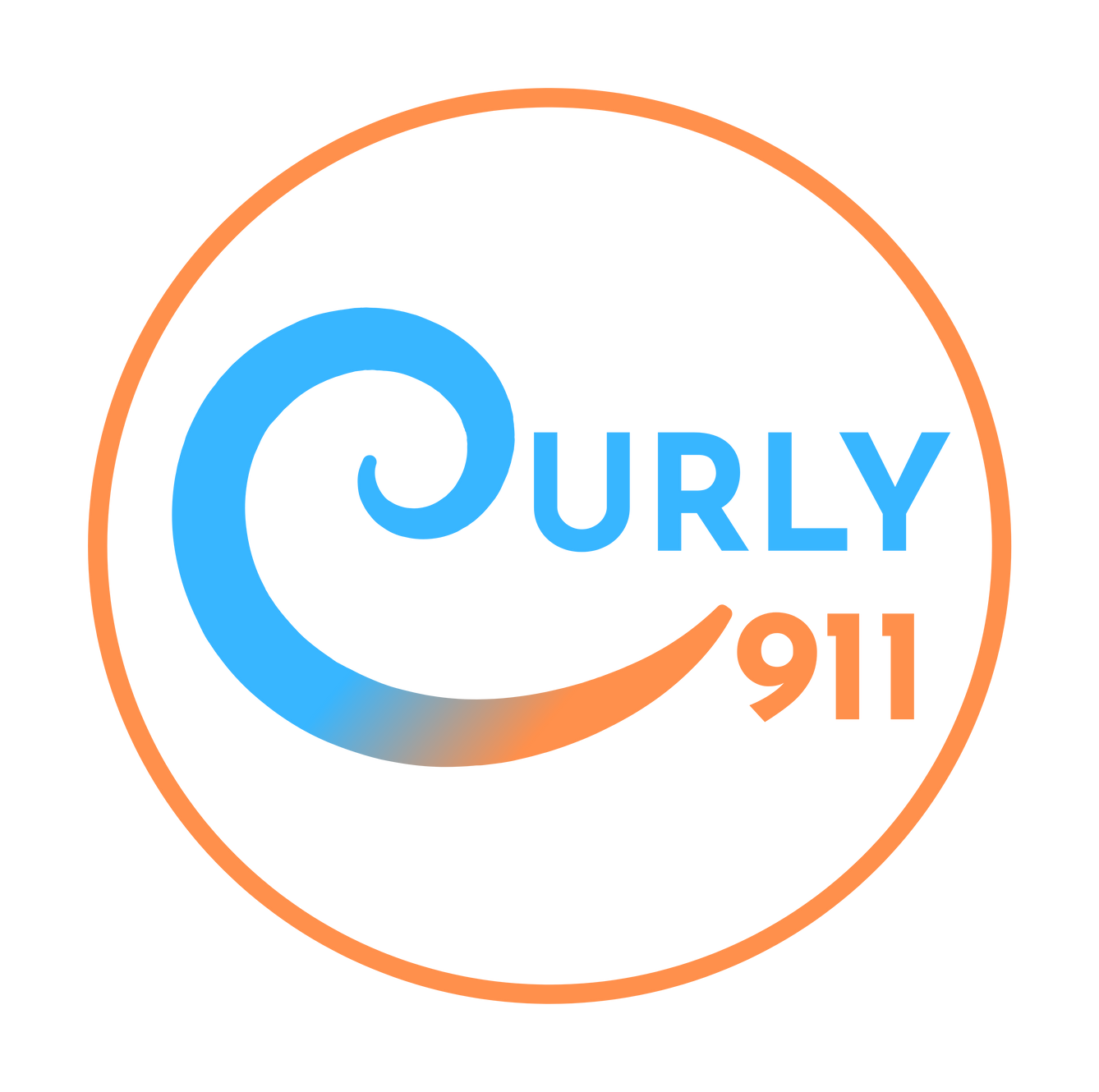 Curly 911 alcohol free hair products