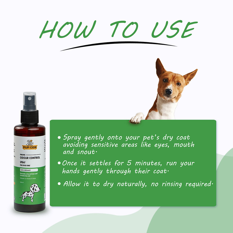 Thumbnail: Pup Cide Odour Control Spray | Lime & Bergamot | 200ml