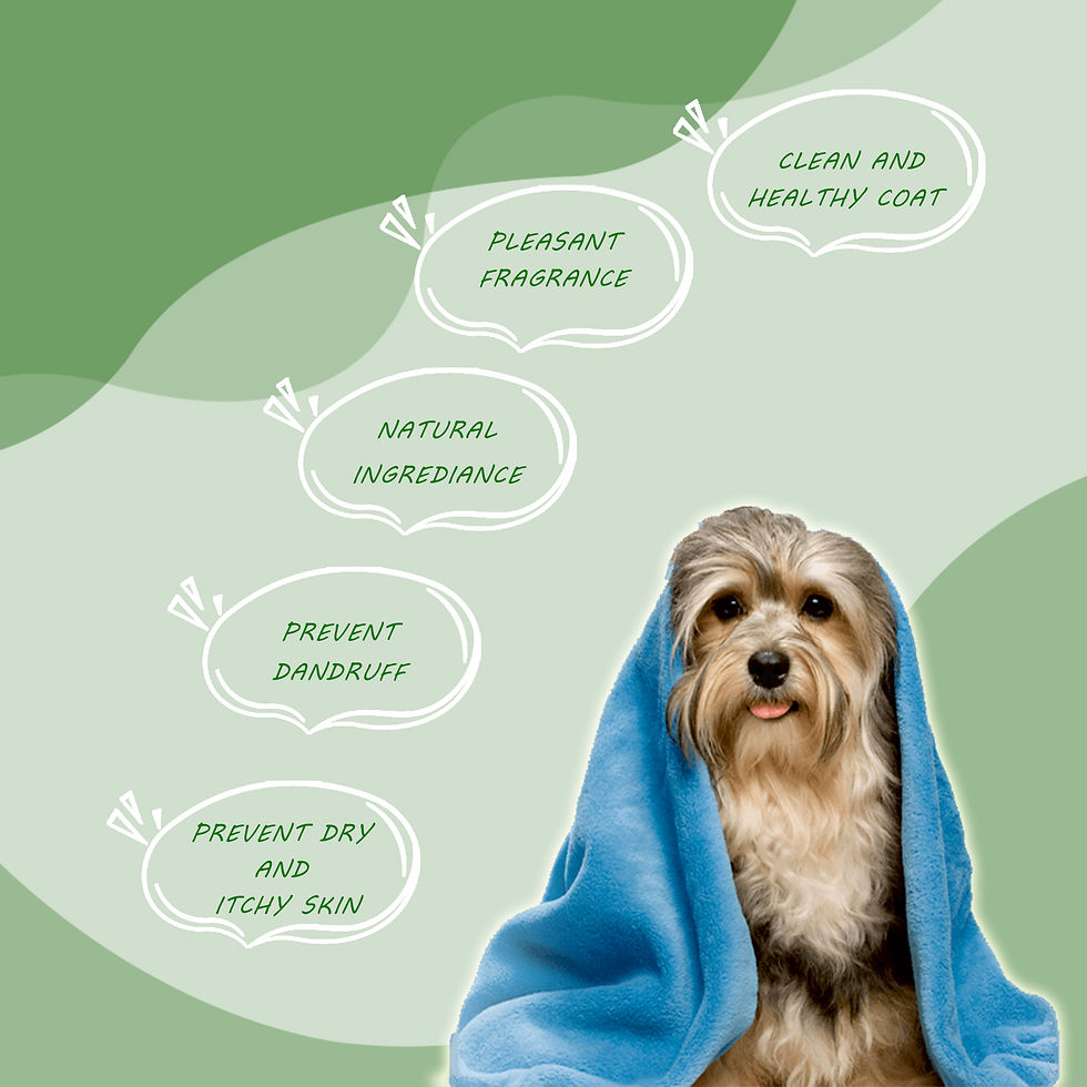 Thumbnail: Pup Cide Anti - Bacterial Shampoo  | 200ml