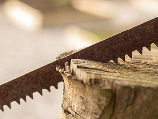 A saw cutting into wood