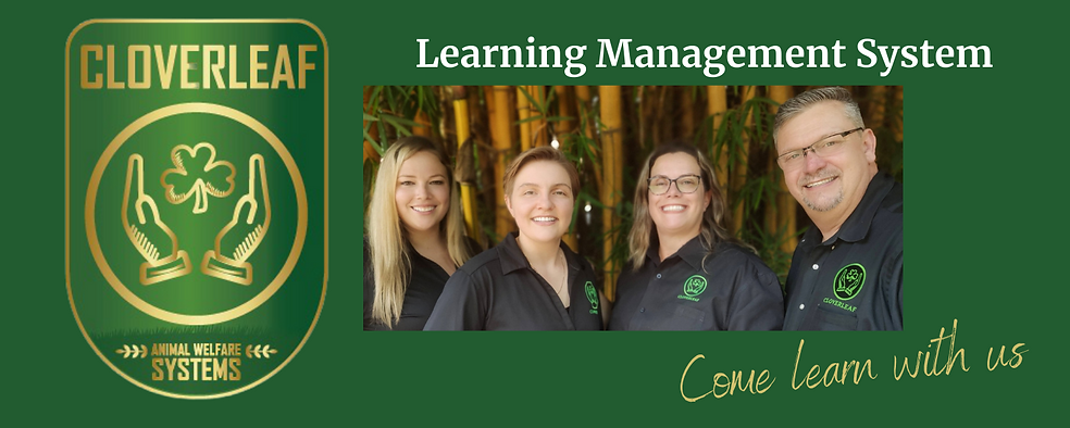 Learning Management System (2).png