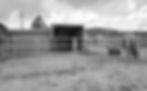 Ranch_edited_edited.jpg