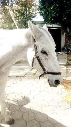 4a384cbd-86c0-4704-b45a-891290ac6f1e_edi