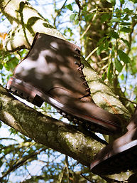 Crockett & Jones A/W25 Collection