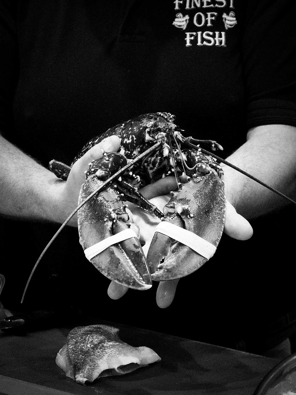 Fresh lobster held by the team at Finest of Fish, Derbyshire's independent fishmonger.