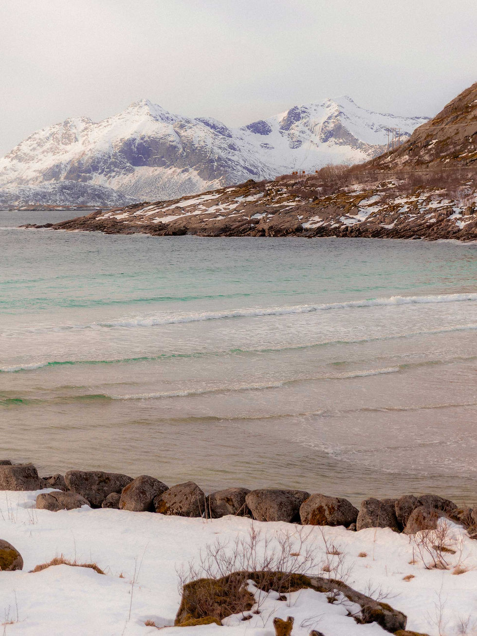 Winter beach with turquoise water and snow-covered mountains in the Norway, Tromsø.