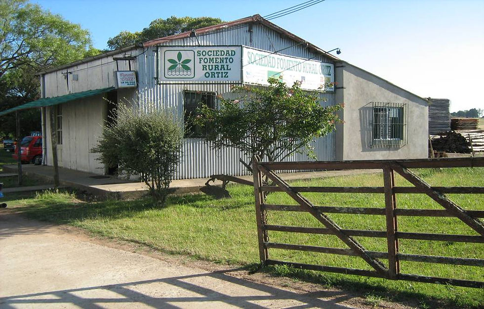 SFR Ortiz