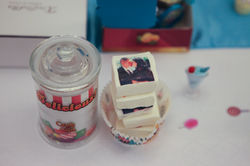 Allison_et_Cédric-828