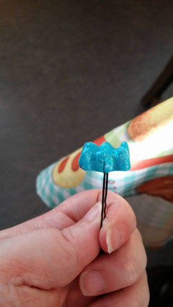 12999690_10208320012054519_1597918629_o