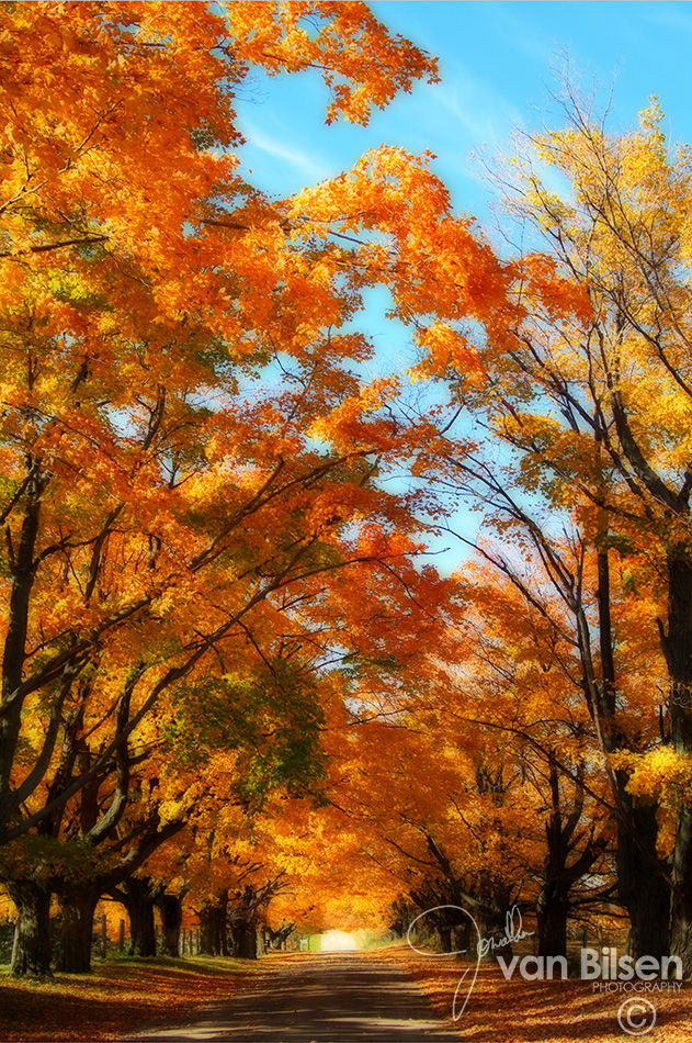 Images of Autum - 005 - ©Jonathan van Bilsen