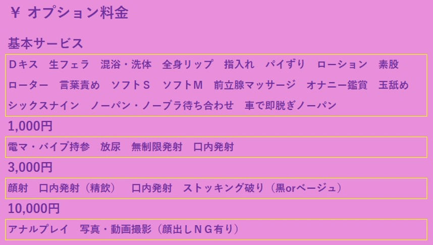 オプション料金表.jpg
