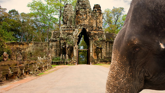 Where to go, Where to go?